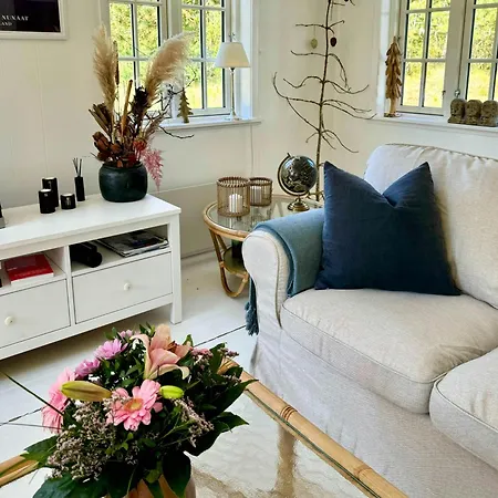 別荘 Summer House By Blabjerg Klitplantage