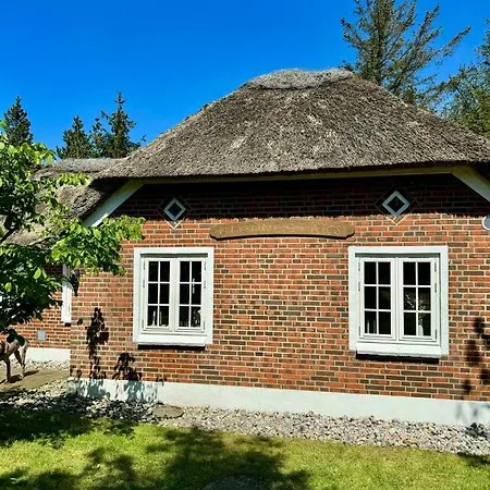 Summer House By Blabjerg Klitplantage *