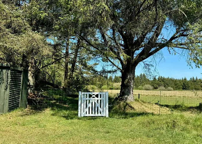 Ferienhaus Summer House By Blabjerg Klitplantage *