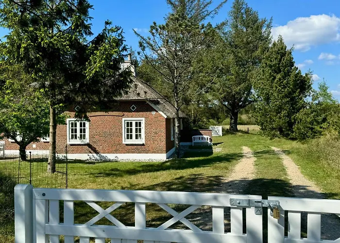 Summer House By Blabjerg Klitplantage Ferienhaus